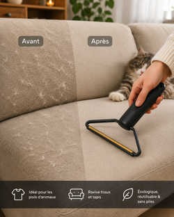 Avant après nettoyage des poils de chat sur un canapé avec la brosse