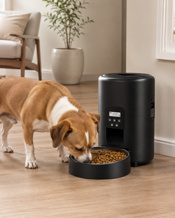 Distributeur de croquettes automatique avec programmation des portions
