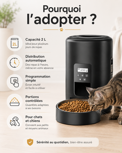 Distributeur automatique de croquettes 2 L dans un intérieur