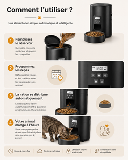 Version à bouton du distributeur automatique de croquettes 2 L