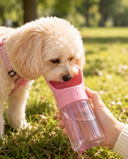 Gourde portable 2-en-1 pour promenades et voyages avec animal