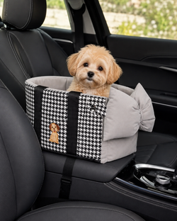 Petit chien assis dans le sac de transport en voiture